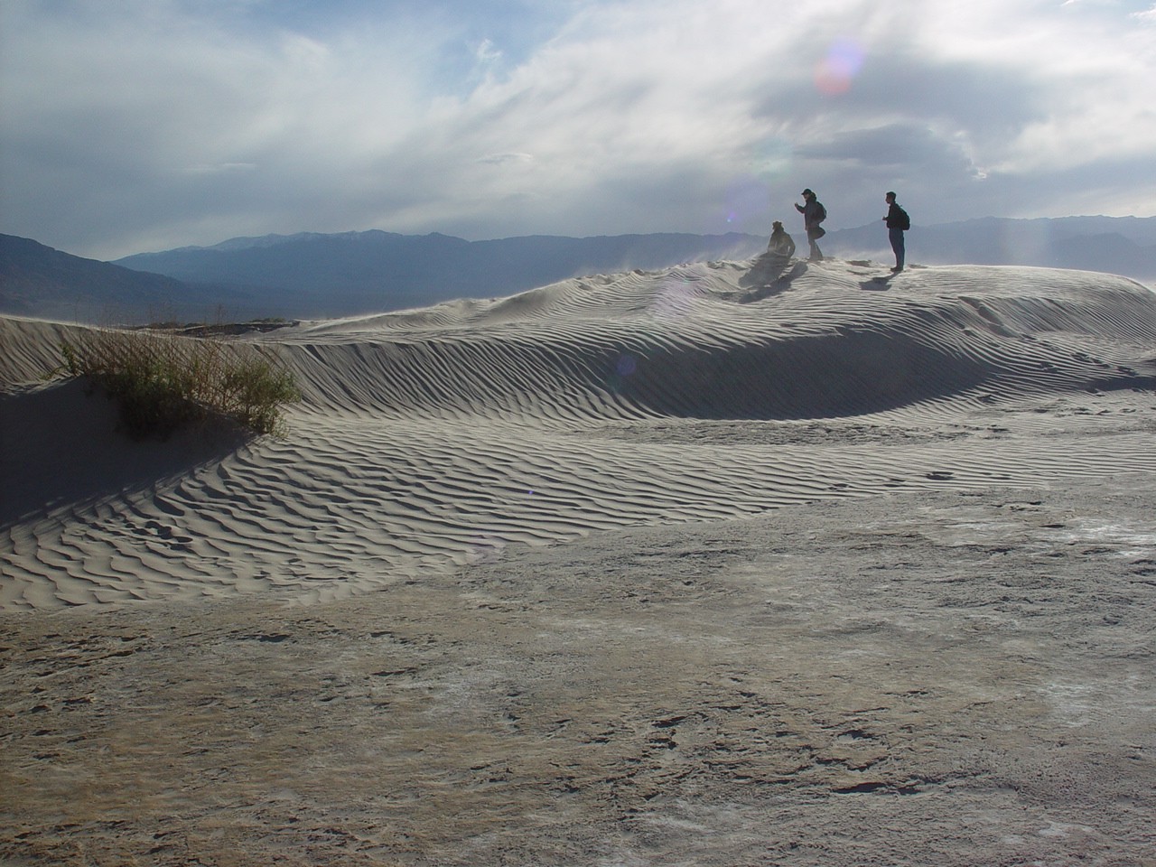 Sand dunes in Death Valley (2003)