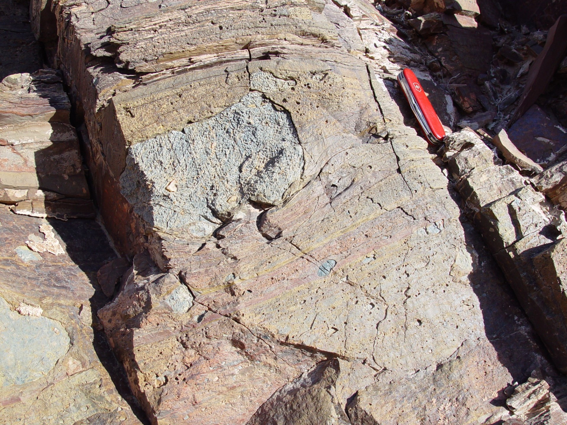 Sandstones and siltstones with outsize fragments at Sperry Wash.