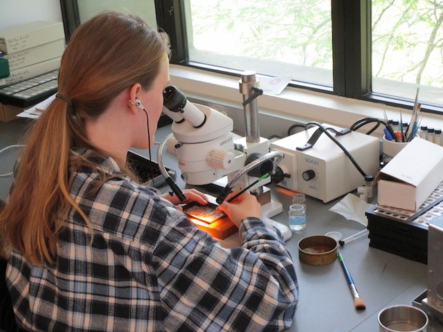 Student working in Core Lab