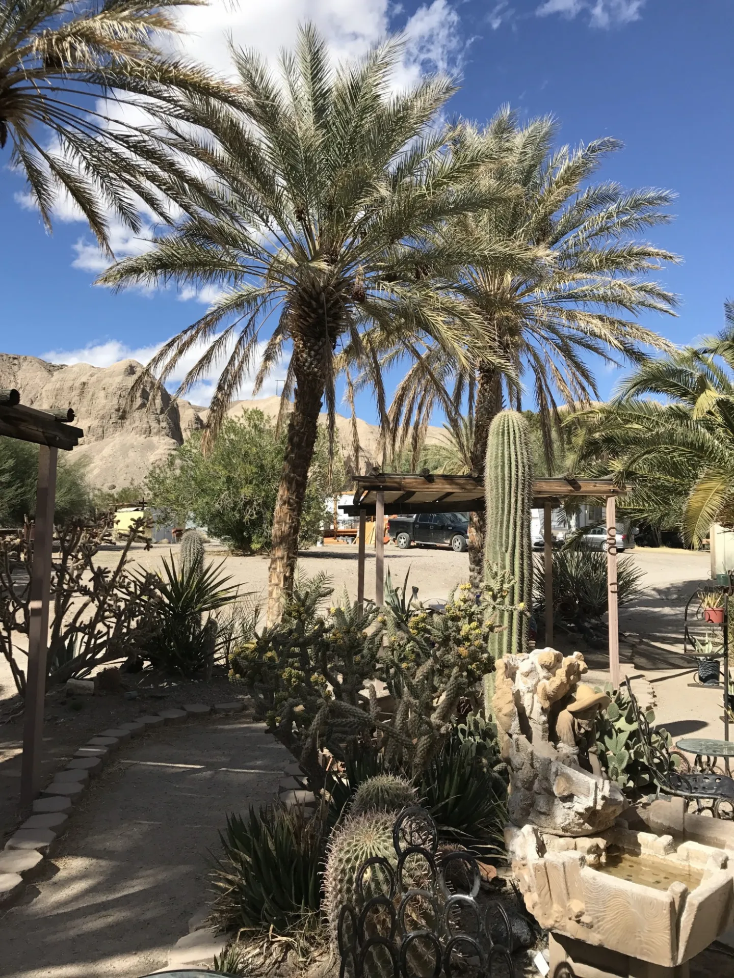 Cactus garden at China Ranch (2018, courtesy Alaina Hartnett)