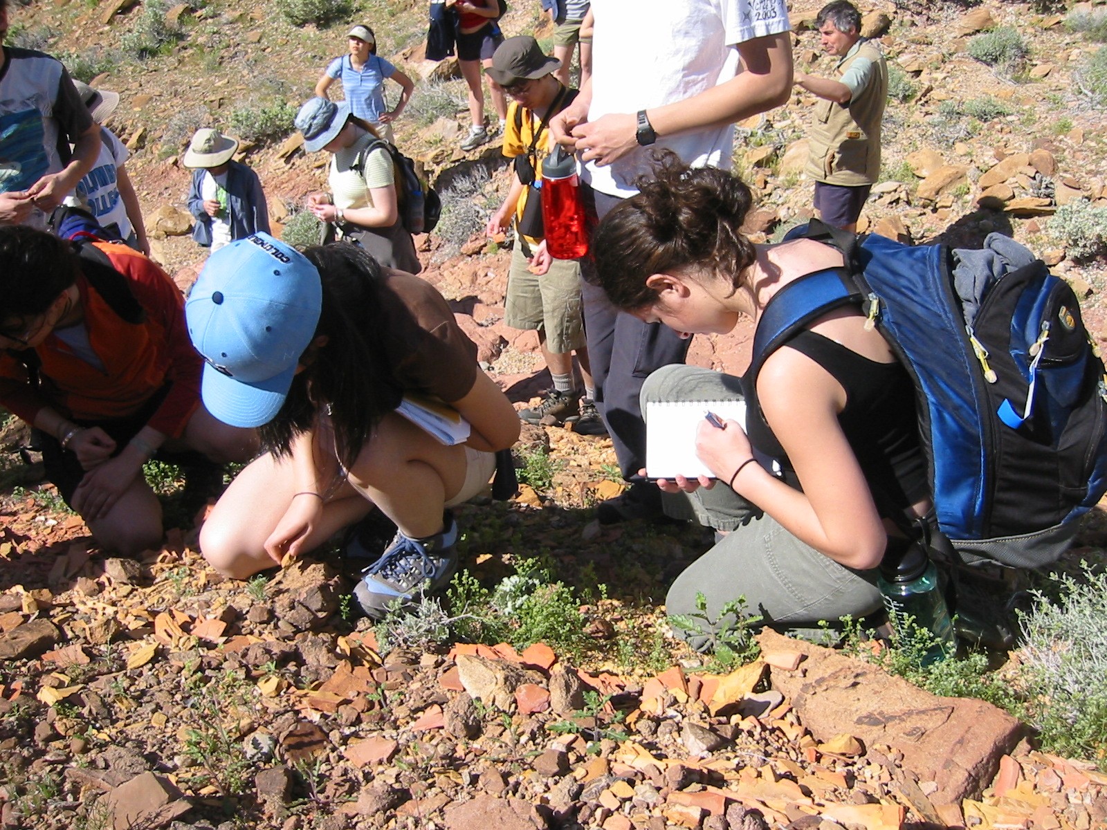 Eagle Mountain (2005, courtesy Kevin Wheeler)