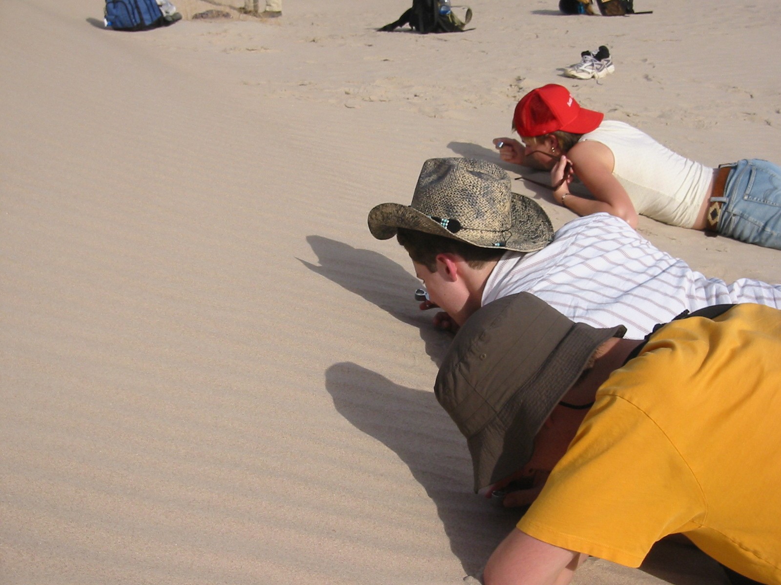 Examining wind ripples (2005, courtesy Kevin Wheeler)